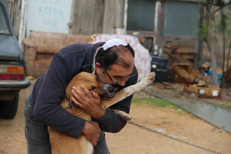 Antalya’da köpek kulübesinin yıkıldığı iddiası baltalı kavgaya döndü
