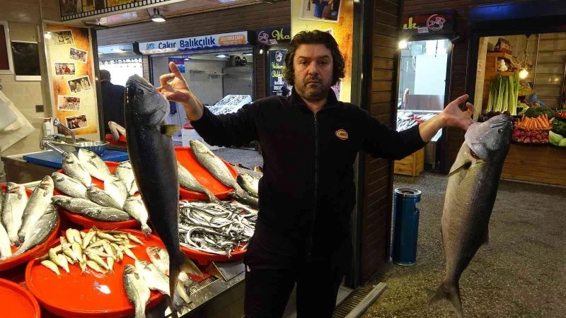 Hamsi yok ama balık halinin kralı çifte kofanalar oldu
