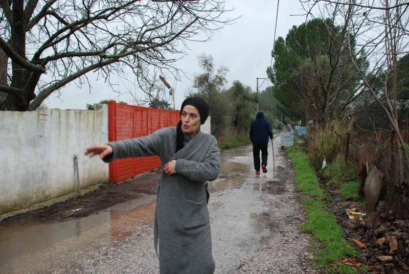 Menderes’te başıboş köpekler, mahallelinin kabusu oldu
