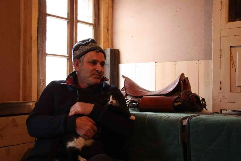 Yeşil gözlü kedi ilgi odağı oldu