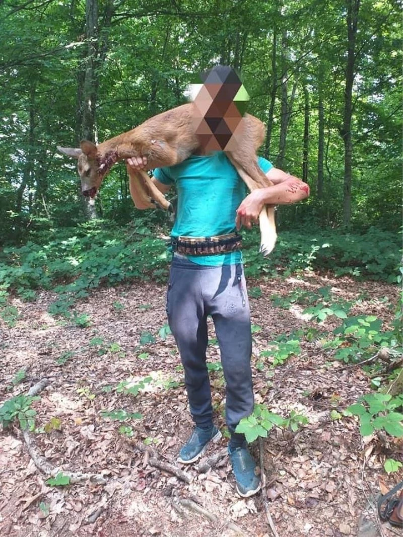 Kaçak avcılığa geçit yok
