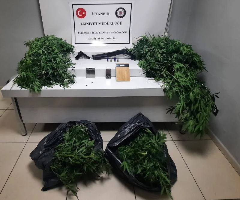 Ümraniye’de evini uyuşturucu serasına çeviren şahsa operasyon
