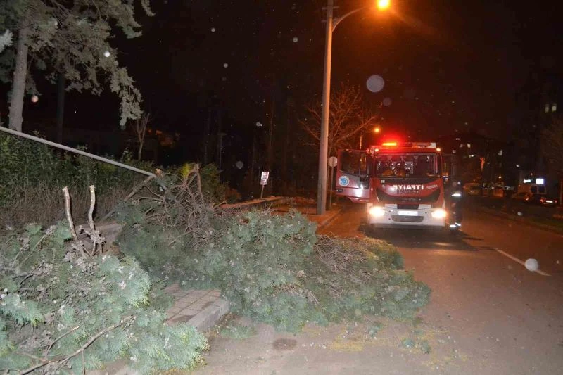 Çorlu’da kuvvetli fırtına: Ağaçlar devrildi, çatılar uçtu, direkler devrildi
