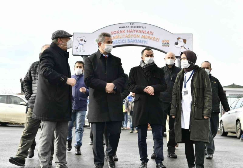 Mamak Belediye Başkanı Köse hayvan barınağını denetledi
