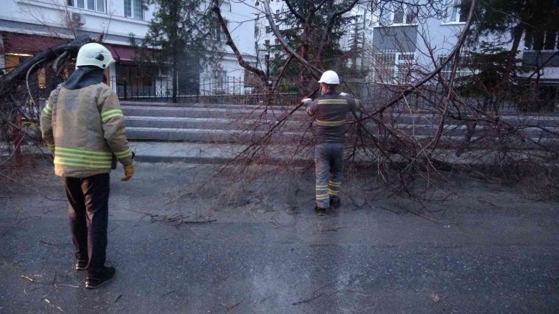 Kadıköy’de şiddetli fırtınanın etkisiyle ağaç ve elektrik direği devrildi
