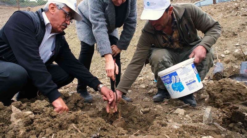 Gündoğmuş’a ceviz fidanı ve hamur makinesi yardımı
