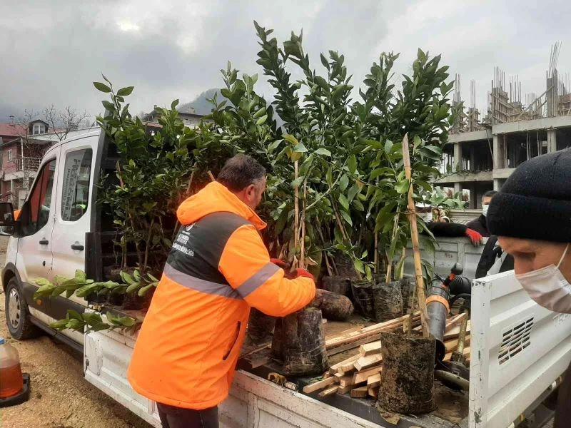 Altınordu ilçesinde “yeşil kalkınmada altın çağ”
