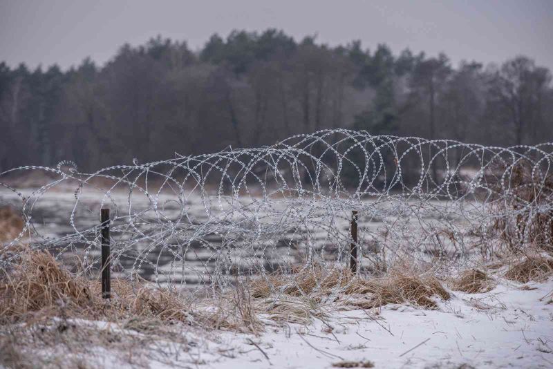 Polonya’nın Belarus sınırında 240’tan fazla göçmenin öldürüldüğü iddiası
