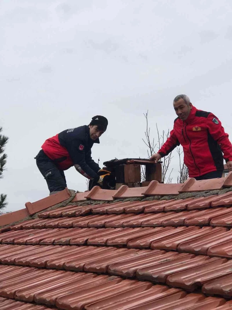 Bacaya sıkışan kediyi itfaiye kurtardı

