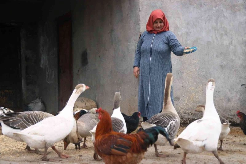 Diyarbakır’da kırsal mahallenin ‘tek kadın muhtarı’ koltuğu eşinden aldı
