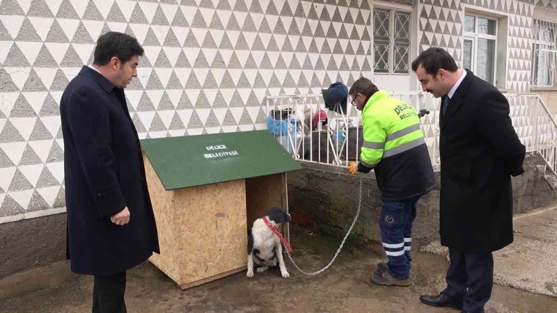 Bu ilçede sokak hayvanı sahiplenenlere 15 ton içme suyu ücretsiz veriliyor
