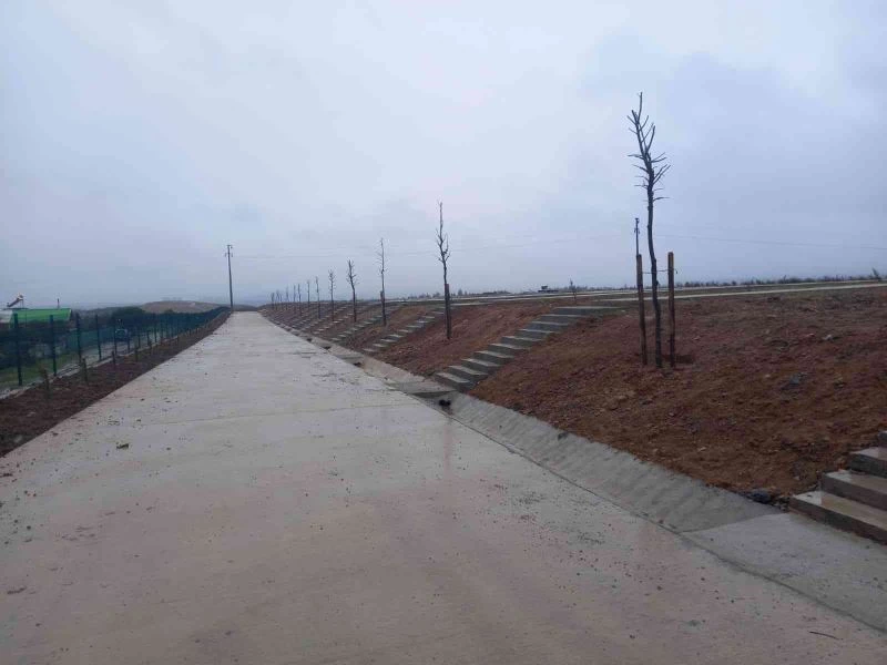 Demirciler Köyü Mezarlığı ağaçlandırıldı
