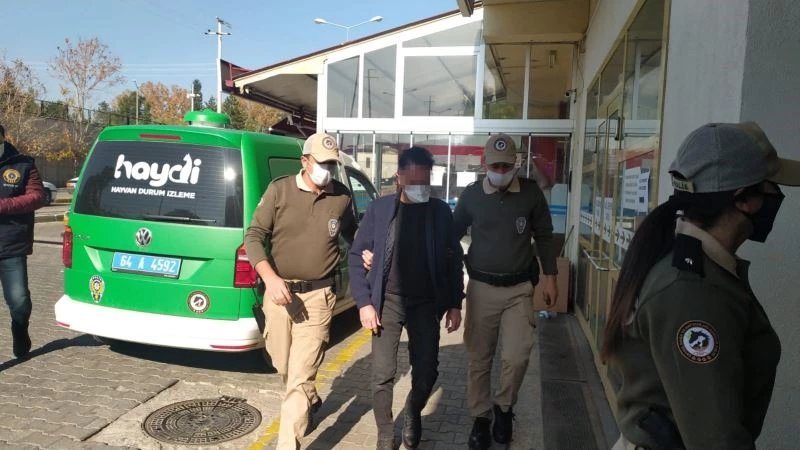 Sokak köpeğini öldürüp serbest kalan doktor, hastasına tecavüz iddiasıyla tutuklandı
