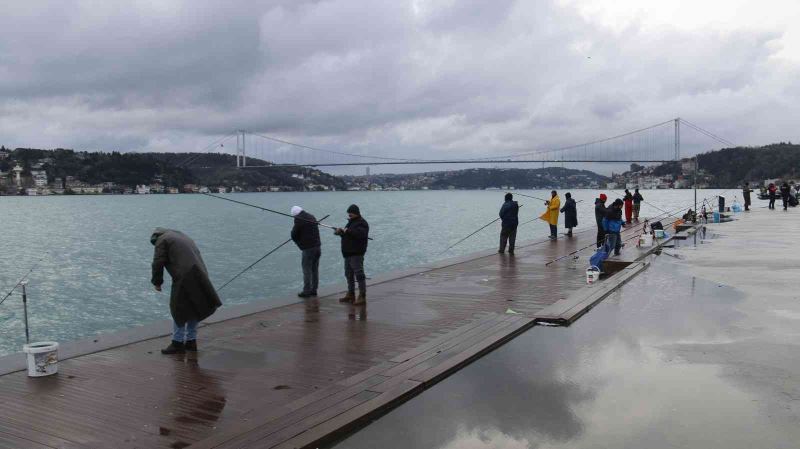 İstanbul’un hasta balıklarını görüntüledi
