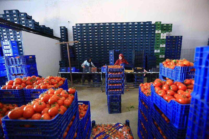 Büyükşehir, toptancı hal esnafına ‘kefil’ oluyor
