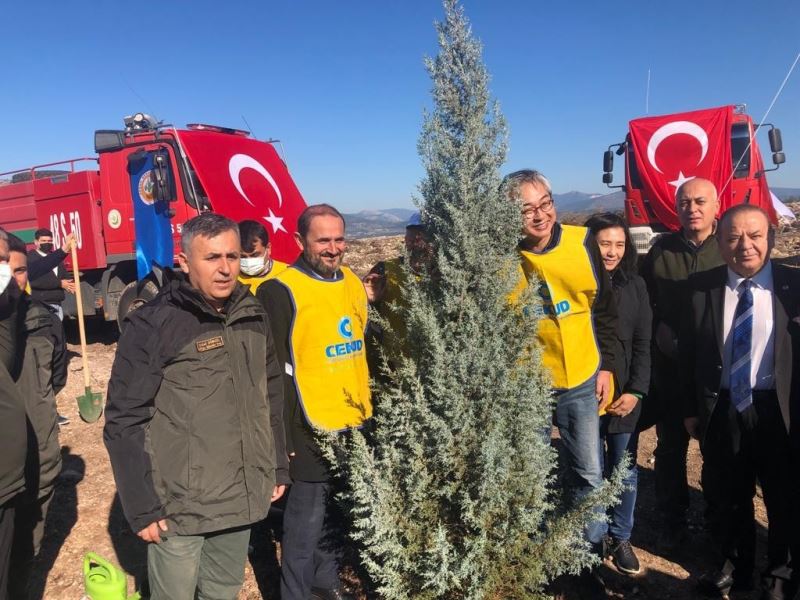 Türk-Kore dostluğu fidanlarla büyüyecek
