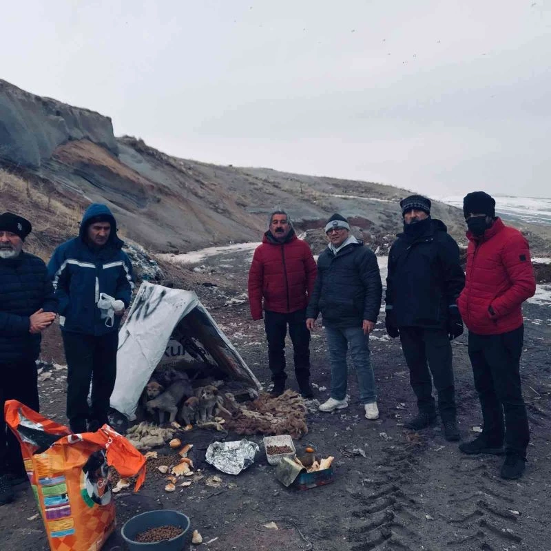 Gezginler bu kez sokak hayvanları için yürüdüler
