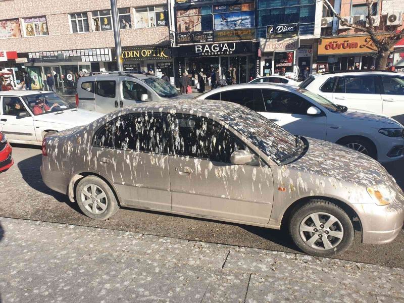 Kargaların istilası otomobili bu hale getirdi
