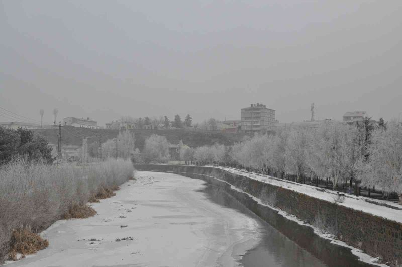 Kars’ta ağaçlar kırağı tuttu
