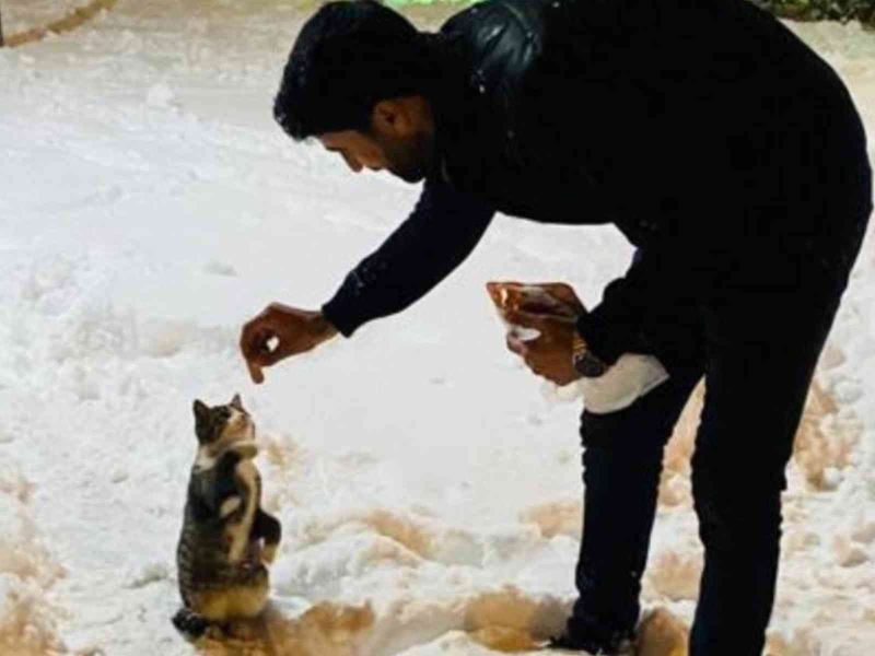 Dönüp gitmek yerine onları beslemek için yiyecekle geri dönmeyi seçti
