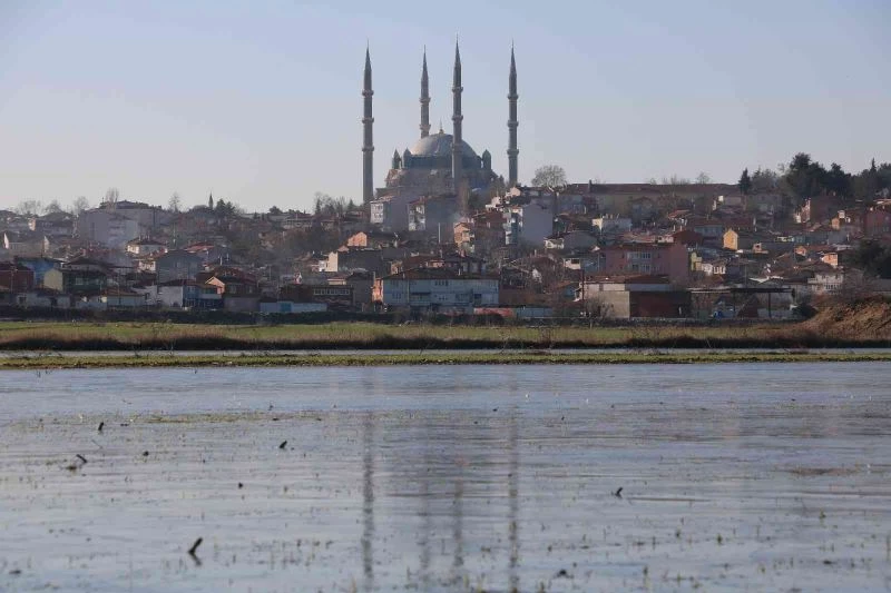 Edirne’de suyla kaplı tarlalar buz tuttu
