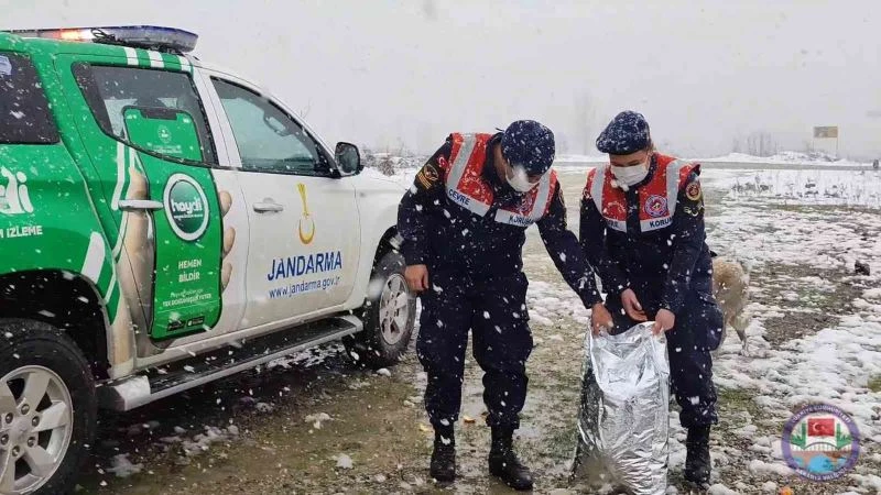 İçişleri Bakanı Soylu, o videoyu sosyal medya hesabından paylaştı
