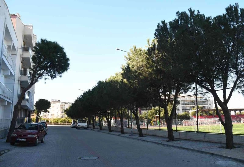 Davutlar Mahallesi’nde alt ve üst yapı çalışmaları devam ediyor
