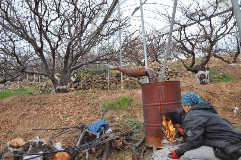 Türkiye’nin en pahalı don nöbeti
