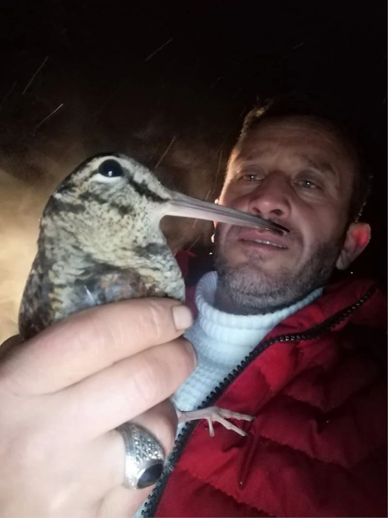 Donmak üzere olan kuşa vatandaşlar sahip çıktı
