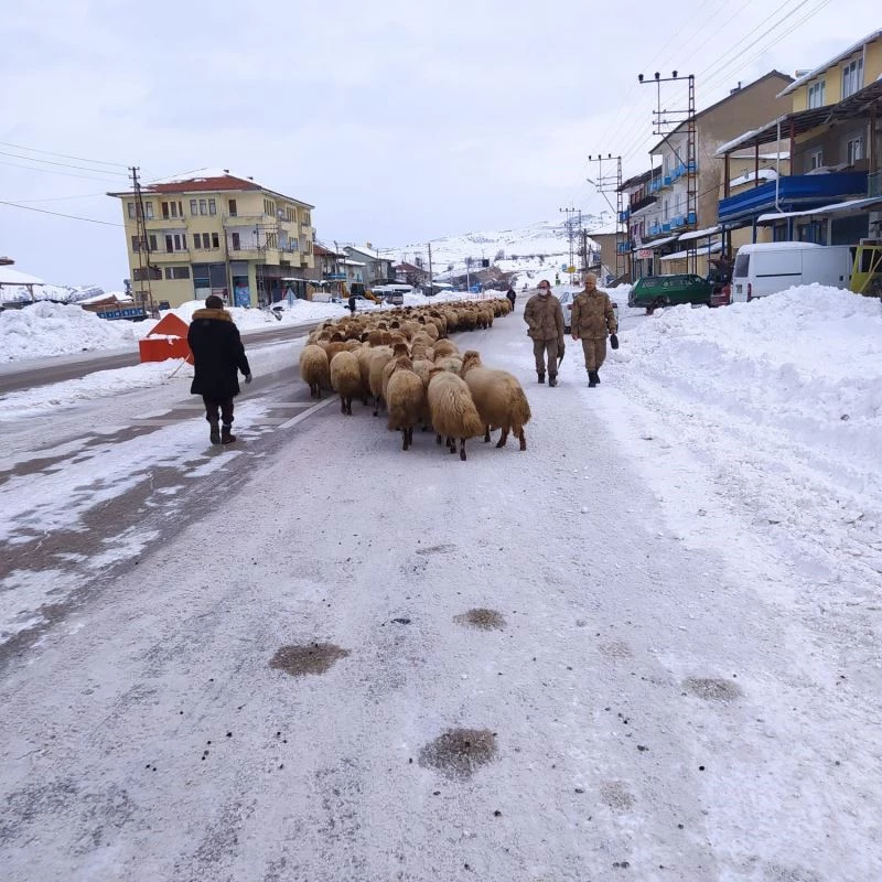 Yoğun kar yayladaki sürüleri yerinden etti

