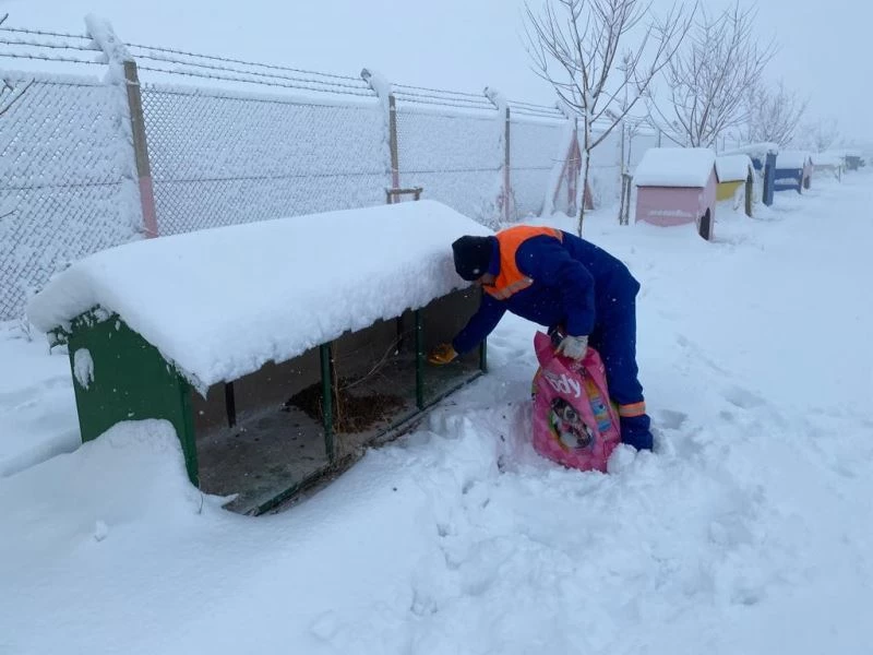 Çubuk’ta sokak hayvanları unutulmadı
