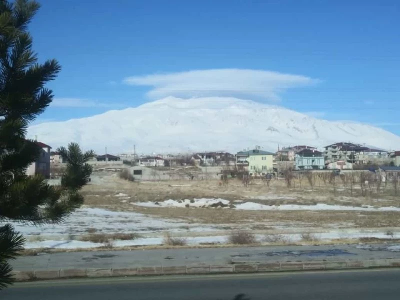 Adilcevaz’da yalancı bahar
