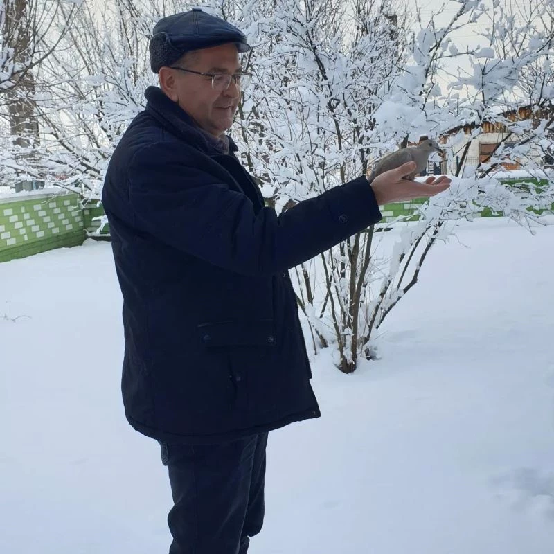 Donmak üzere olan kumruya işletme müdürü sahip çıktı
