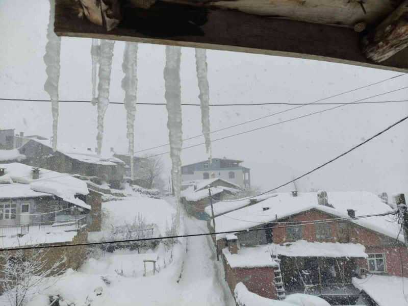 Arıcak kara teslim oldu
