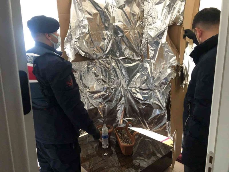 Eve kurduğu özel düzenekle uyuşturucu yetiştiren şahıs yakalandı
