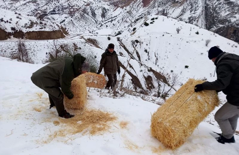 Yaban hayvanları için karlı dağlara yem bırakıldı
