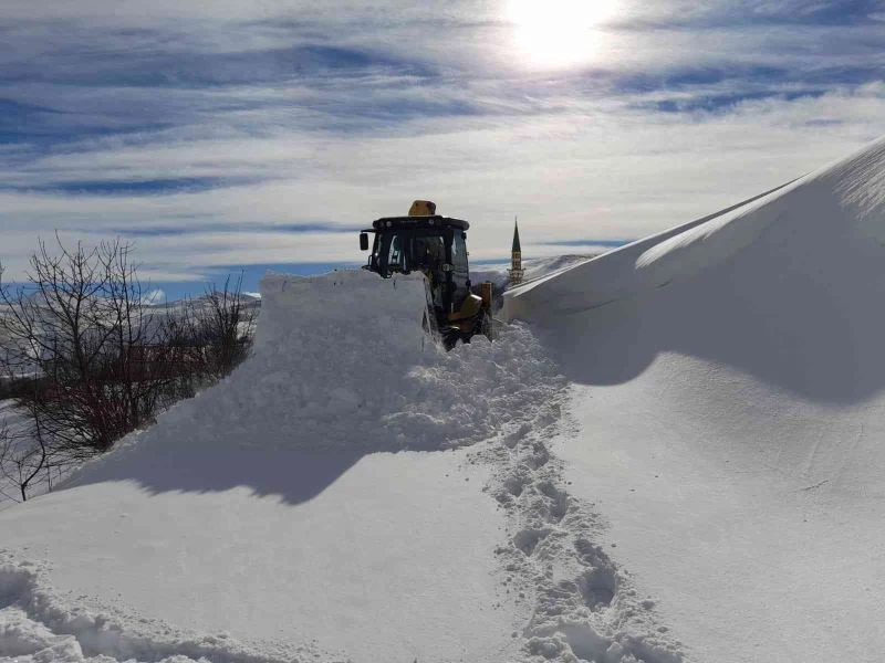 Giresun’da 201 köy yolunda kar nedeniyle ulaşım sağlanamıyor
