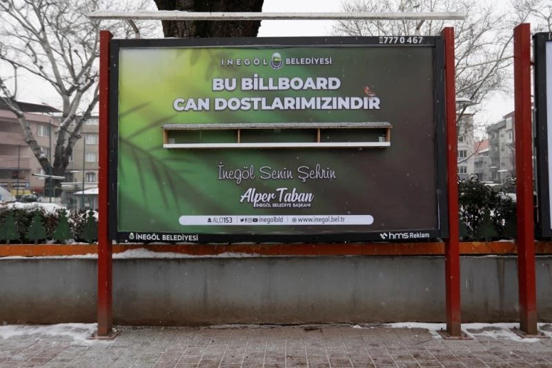 Kara kışta kuşlara 