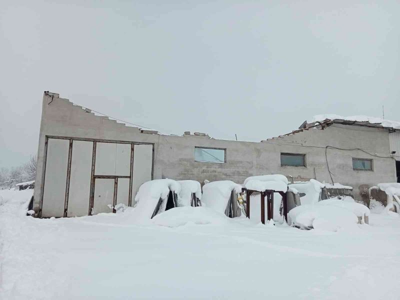 Fabrikanın çatısı yoğun kar yağışına dayanamadı
