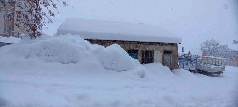Tunceli’de ev ve arabalar kara gömüldü
