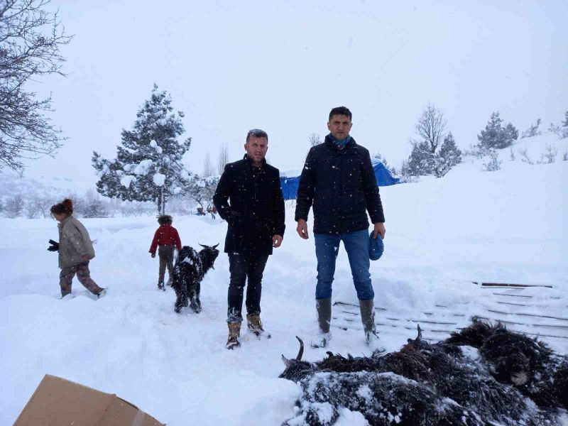 Mersin’de kardan çöken ahırdaki 21 küçükbaş hayvan telef oldu
