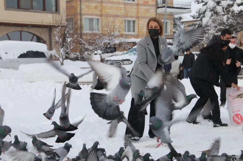 Vali Becel, güvercinlere yem bıraktı
