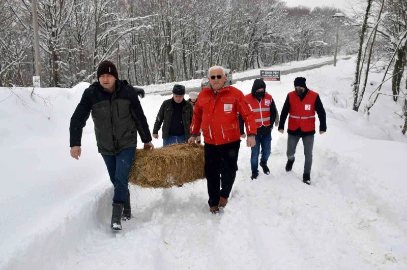 Yaban ve sokak hayvanları için kolları sıvadılar
