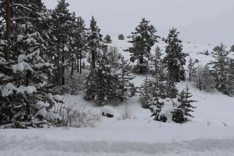 Havalar ısınıyor, kar erimesi ve çığ riskine dikkat!
