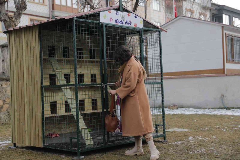 Kedileri Sivas’ın ayazından bu kulübeler koruyacak
