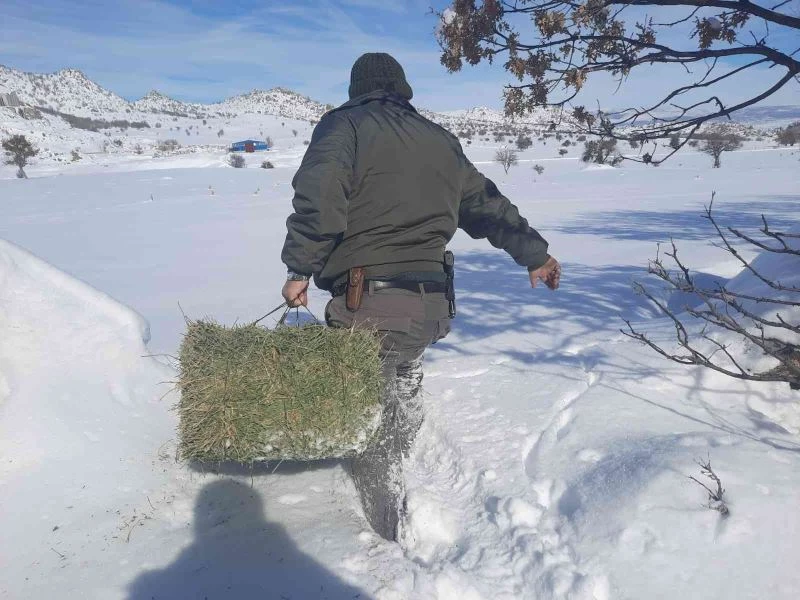Konya’da yiyecek bulmakta zorlanan yaban hayvanları için doğaya yiyecek takviyesi
