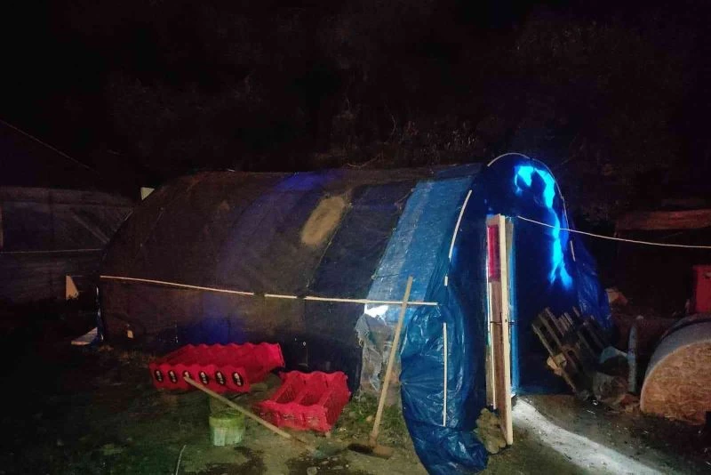 Fethiye’de horoz dövüşü operasyonu: 8 kişi yakalandı
