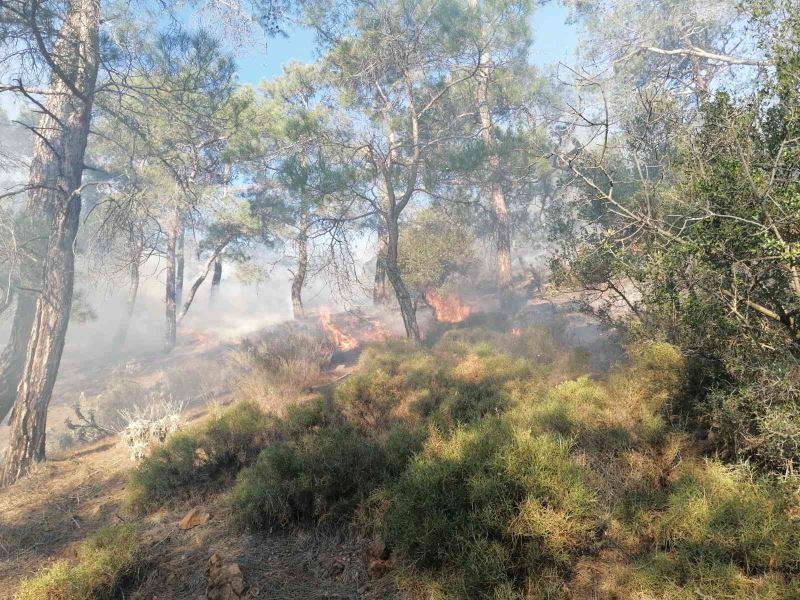 Fethiye’de orman yangınının yayılmasına jandarma engel oldu
