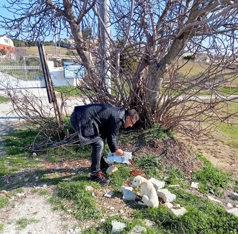 MHP Kuşadası İlçe Başkanı İnan, hafta sonunu hayvanlara ayırdı
