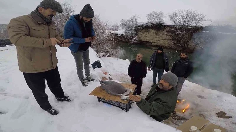 Balıkçıl kuşun imdadına ekipler yetişti
